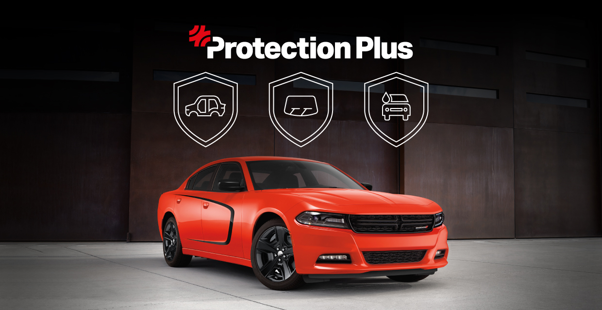 Protection Plus